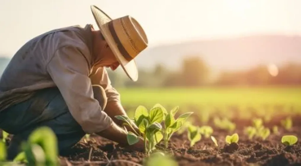 COMO O OOH NO AGRO AMPLIA A PRESEN&Ccedil;A DE MARCA NO CAMPO