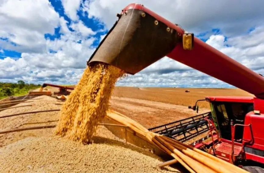  COMO A M&Iacute;DIA OOH FORTALECE A COMUNICA&Ccedil;&Atilde;O COM O P&Uacute;BLICO DO AGRONEG&Oacute;CIO